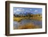 Teton Range reflected on beaver pond at Schwabacher Landing, Grand Teton National Park, Wyoming-Adam Jones-Framed Photographic Print