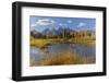 Teton Range reflected on beaver pond at Schwabacher Landing, Grand Teton National Park, Wyoming-Adam Jones-Framed Photographic Print