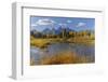 Teton Range reflected on beaver pond at Schwabacher Landing, Grand Teton National Park, Wyoming-Adam Jones-Framed Photographic Print