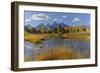 Teton Range reflected on beaver pond at Schwabacher Landing, Grand Teton National Park, Wyoming-Adam Jones-Framed Photographic Print