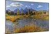 Teton Range reflected on beaver pond at Schwabacher Landing, Grand Teton National Park, Wyoming-Adam Jones-Mounted Photographic Print