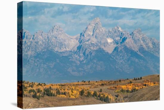 Teton Range seen from Wedding Tree overlook, Wyoming-Alan Majchrowicz-Stretched Canvas