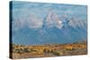 Teton Range seen from Wedding Tree overlook, Wyoming-Alan Majchrowicz-Stretched Canvas