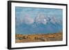 Teton Range seen from Wedding Tree overlook, Wyoming-Alan Majchrowicz-Framed Photographic Print