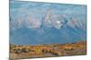 Teton Range seen from Wedding Tree overlook, Wyoming-Alan Majchrowicz-Mounted Photographic Print