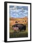 Teton Valley, Idaho - Buffalo Herd and Calf-Lantern Press-Framed Art Print