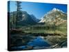 Teton-Gordon Semmens-Stretched Canvas