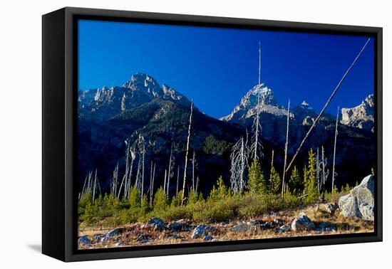 Teton-Gordon Semmens-Framed Stretched Canvas