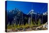 Teton-Gordon Semmens-Stretched Canvas