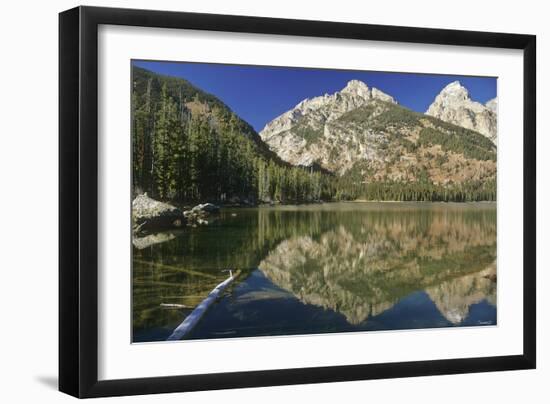 Teton-Gordon Semmens-Framed Photographic Print