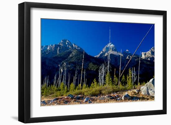 Teton-Gordon Semmens-Framed Photographic Print