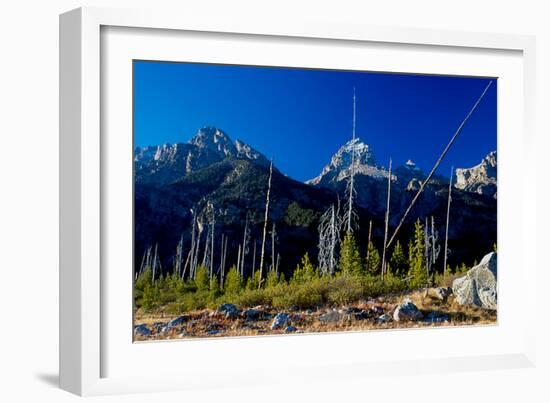 Teton-Gordon Semmens-Framed Photographic Print