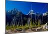 Teton-Gordon Semmens-Mounted Photographic Print