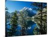 Teton-Gordon Semmens-Mounted Photographic Print