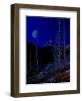 Teton-Gordon Semmens-Framed Giclee Print