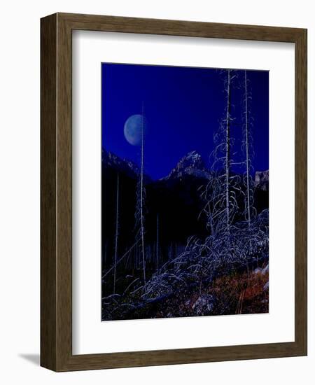 Teton-Gordon Semmens-Framed Giclee Print