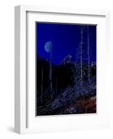 Teton-Gordon Semmens-Framed Giclee Print