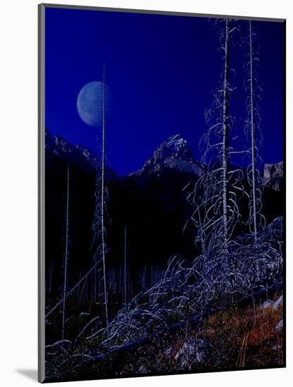 Teton-Gordon Semmens-Mounted Giclee Print