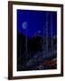 Teton-Gordon Semmens-Framed Giclee Print