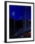 Teton-Gordon Semmens-Framed Giclee Print