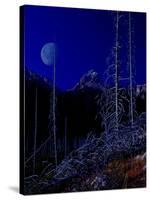 Teton-Gordon Semmens-Stretched Canvas