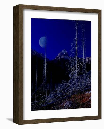 Teton-Gordon Semmens-Framed Giclee Print