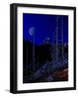 Teton-Gordon Semmens-Framed Giclee Print