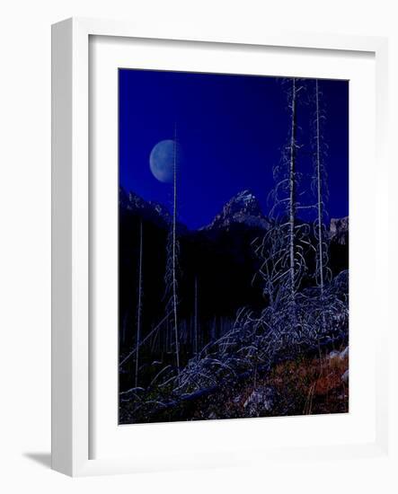 Teton-Gordon Semmens-Framed Giclee Print