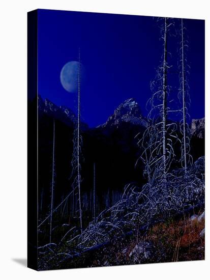 Teton-Gordon Semmens-Stretched Canvas