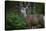 Tetons 2012 #1105-Gordon Semmens-Stretched Canvas