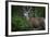 Tetons 2012 #1105-Gordon Semmens-Framed Photographic Print