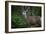 Tetons 2012 #1105-Gordon Semmens-Framed Photographic Print