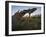 Tetons at First Light, Grand Teton National Park, Wyoming, United States of America, North America-James Hager-Framed Photographic Print