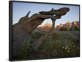 Tetons at First Light, Grand Teton National Park, Wyoming, United States of America, North America-James Hager-Framed Photographic Print