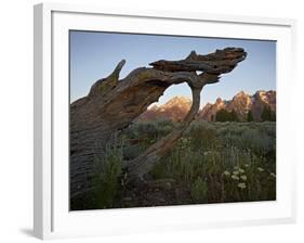 Tetons at First Light, Grand Teton National Park, Wyoming, United States of America, North America-James Hager-Framed Photographic Print