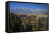 Tetons III-J.D. Mcfarlan-Framed Stretched Canvas