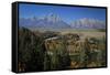 Tetons III-J.D. Mcfarlan-Framed Stretched Canvas