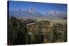 Tetons III-J.D. Mcfarlan-Stretched Canvas