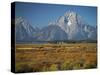 Tetons IV-J.D. Mcfarlan-Stretched Canvas