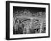 Tetons IV-J.D. Mcfarlan-Framed Photographic Print