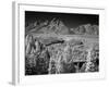 Tetons IV-J.D. Mcfarlan-Framed Photographic Print