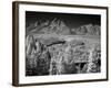 Tetons IV-J.D. Mcfarlan-Framed Photographic Print