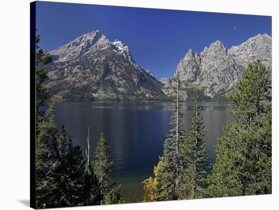 Tetons-J.D. Mcfarlan-Stretched Canvas