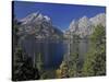 Tetons-J.D. Mcfarlan-Stretched Canvas