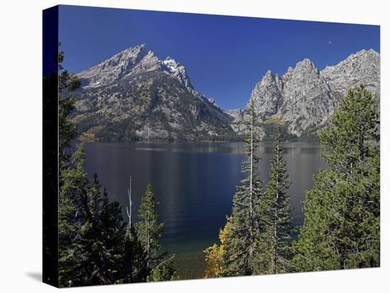 Tetons-J.D. Mcfarlan-Stretched Canvas