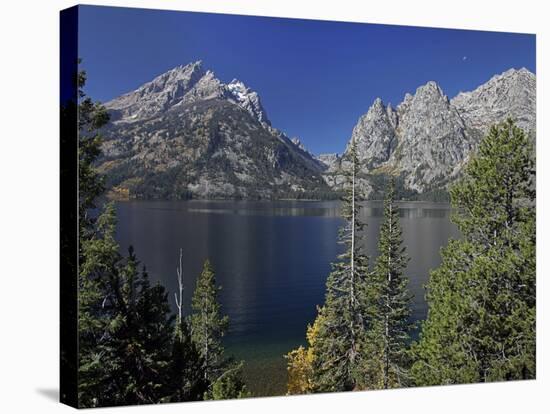 Tetons-J.D. Mcfarlan-Stretched Canvas