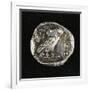 Tetradrachm from Time of Battle of Marathon Depicting Athena as Owl, Greek Coins, 5th Century BC-null-Framed Giclee Print