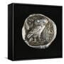 Tetradrachm from Time of Battle of Marathon Depicting Athena as Owl, Greek Coins, 5th Century BC-null-Framed Stretched Canvas