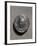 Tetradrachm of Syracuse Depicting a Female Head-null-Framed Giclee Print