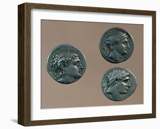 Tetradrachms from Time of Alexander Great. Greek Coins BC-null-Framed Giclee Print